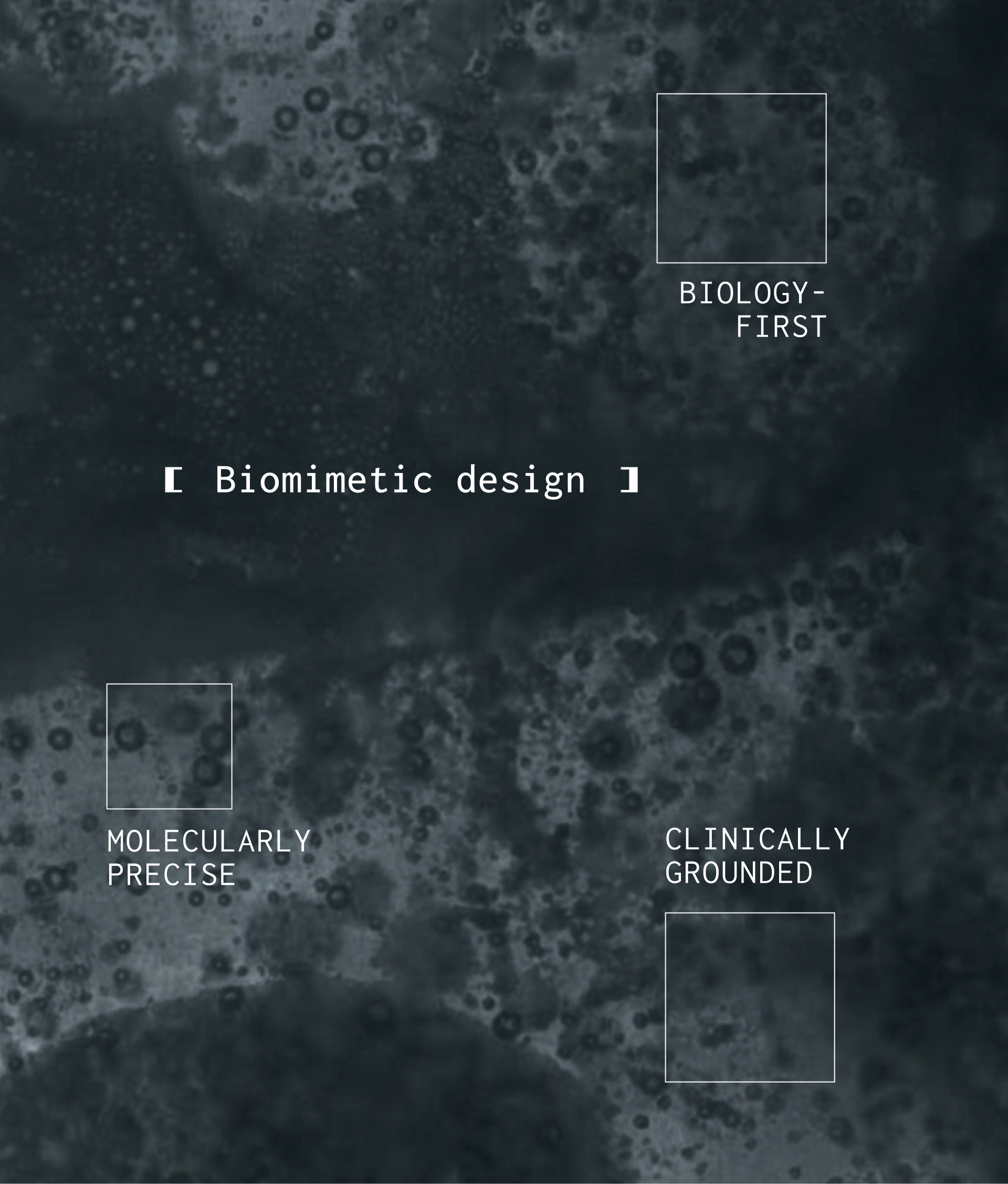 Biomimetic design